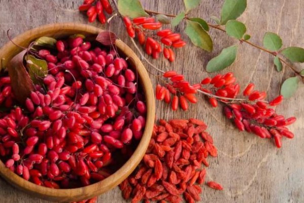 تصویر 5 از خرید و قیمت زرشک دانه اناری اعلا + فروش صادراتی